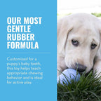KONG Puppy - Natural Teething Rubber Chew Toy - Image 4