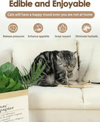 Tocirelo Cat Toys Silvervine Sticks - Image 4
