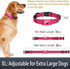Airtag Dog Collar with AirTag Holder - Image 6