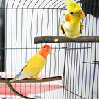 EBaokuup Bird Parrot Perch Set - Image 7