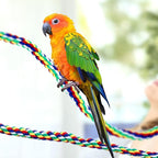 Weewooday 2 Pcs Bird Rope Perches Climbing Rope Bird Cage Accessories - Image 4