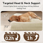 Large Orthopedic Dog Bed with Sides XXL Dog Beds with Removable Washable Cover - Image 3