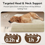 Large Orthopedic Dog Bed with Sides Big Dog Beds with Removable Washable Cover - Image 3