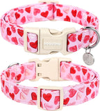 DOGWONG Valentine's Dog Collar - Image 2