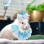 Small Animal Birthday Princess Costume - Image 4