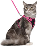 rabbitgoo Cat Harness and Leash Set, Escape Proof Soft Adjustable Vest Harnesses by rabbitgoo