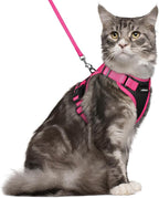 rabbitgoo Cat Harness and Leash Set, Escape Proof Soft Adjustable Vest Harnesses by rabbitgoo