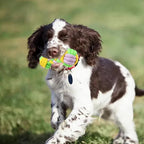 Candy Colored Rope Woven Toy, Durable Dumbbell Design Pet Teeth Grinding Mouth - Image 5