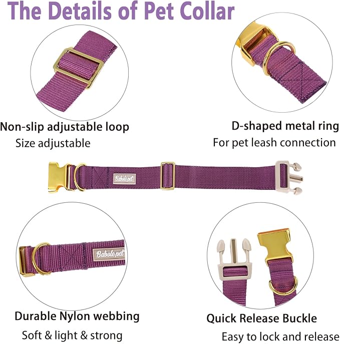 Nylon Dog Collar - Image 4