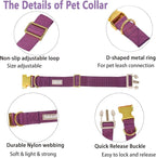 Nylon Dog Collar - Image 4