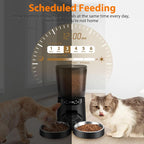 Automatic Cat Feeder and Water Dispenser Set, 5L/20 Cups Timed Cat Dry Food - Image 4