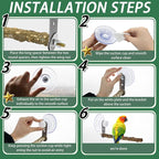 2 Pcs Natural Bird Perch Stand - Image 5