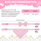 SCENEREAL Spring Cat Collar Breakaway - Image 8