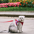 JSXD Cat Harness, Leash and Collar Set, Escape Proof Kitten Vest Harness - Image 3