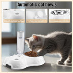 Eccliy Kitten Starter Kit, Pet Toy, Folding Carrier, Climbing Frame, Automatic - Image 6