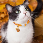 2 Pack Cotton Breakaway Cat Collar Yellow and Pink Rose Pendant Cute Kitten Cat - Image 6
