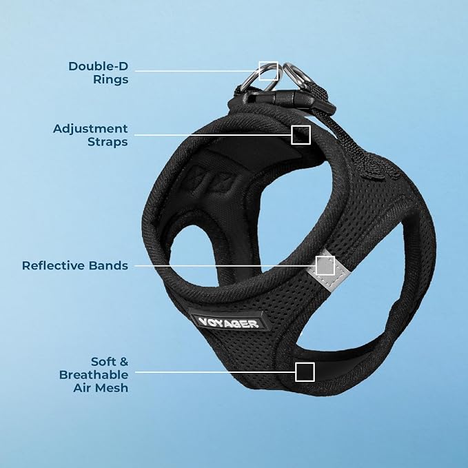 Best Pet Supplies - Image 4