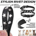 EXPAWLORER Halloween Leather Cat Collar - Image 4