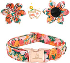 Lionheart Glory Dog Collar, Dog Collar - Image 2
