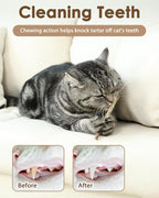 Tocirelo Cat Toys Silvervine Sticks - Image 3