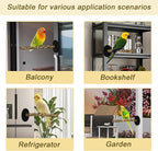 ASOCEA Bird Perch Bird Stand - Image 5