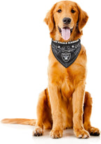 Littlearth NFL Denver Broncos Pet Bandana - Image 3