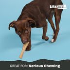 Barkbox Super Chewer Tough Dog Chew Toys - Image 5