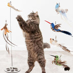 Interactive Bird Simulation Cat Toy Set Interactive Cat Toys - Image 2