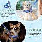 SlowTon No Pull Small Dog Harness and Leash Set, Puppy Soft Vest Harness Neck & - Image 3