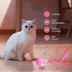 FUNNYDUCK Speed 2.0 Tail Interactive Cat Toy – Motion-Activated Rolling Ball - Image 2
