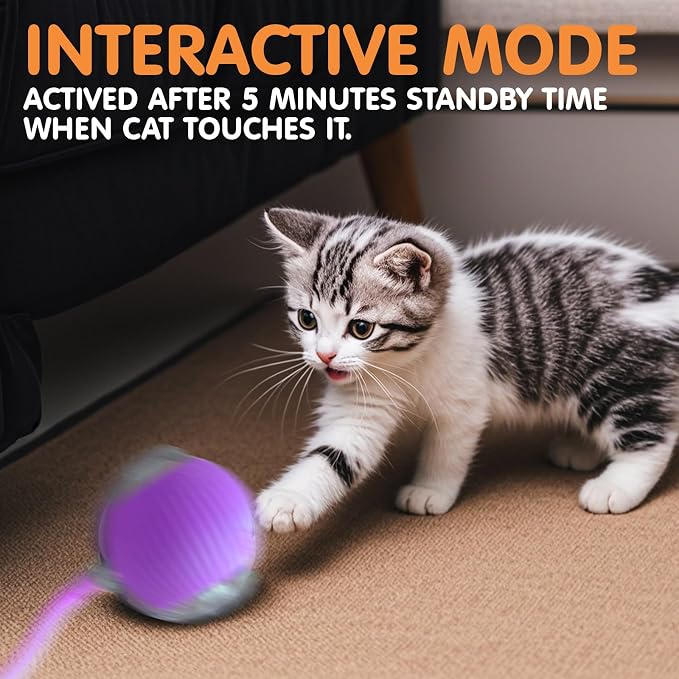 Rocfish Durable Interactive Cat Toys - Image 6