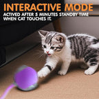 Rocfish Durable Interactive Cat Toys - Image 6