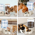 2 Pack Automatic Cat Feeder and Water Dispenser in Set Pet Food Bowl - Image 7