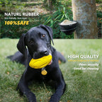 EASTBLUE Squeaky Dog Toys for Aggressive Chewers: Rubber Puppy Chew Ball - Image 4