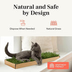 Kitty Lawn Real Grass Cat Window Perch - Image 7