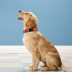 Reflective Dog Collar, Adjustable Soft Neoprene Padded Nylon Pet Collars - Image 2