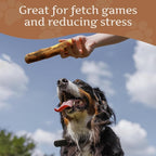 Wildfang® Olive Wood Chewing Sticks - Image 8
