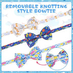 KOOLTAIL Boy Cat Collar Breakaway - Image 6