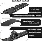 Reflective Dog Collar Padded - Image 4