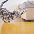 Cat Carpet remnants Cat Scratching Mat Trimmable Self-Adhesive Carpet DIY - Image 7