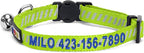Pawtitas Personalized Green Reflective Cat Collar – Adjustable Custom Collar - Image 2