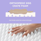 LE SURE Cute Orthopedic Dog Bed - Image 4