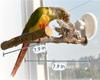 Portable Bird Perch Stand- T-Shaped Natural Apple Wood - Image 3