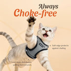 Dooradar Cat Harness and Leash Set, Escape Proof Safe Adjustable Kitten Vest - Image 2