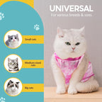 Avont Cat Recovery Suit - Image 4
