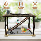 Tfwadmx Parrots Playstand Bird Play Gym Cockatiel Playground Wood Perch Stand - Image 4
