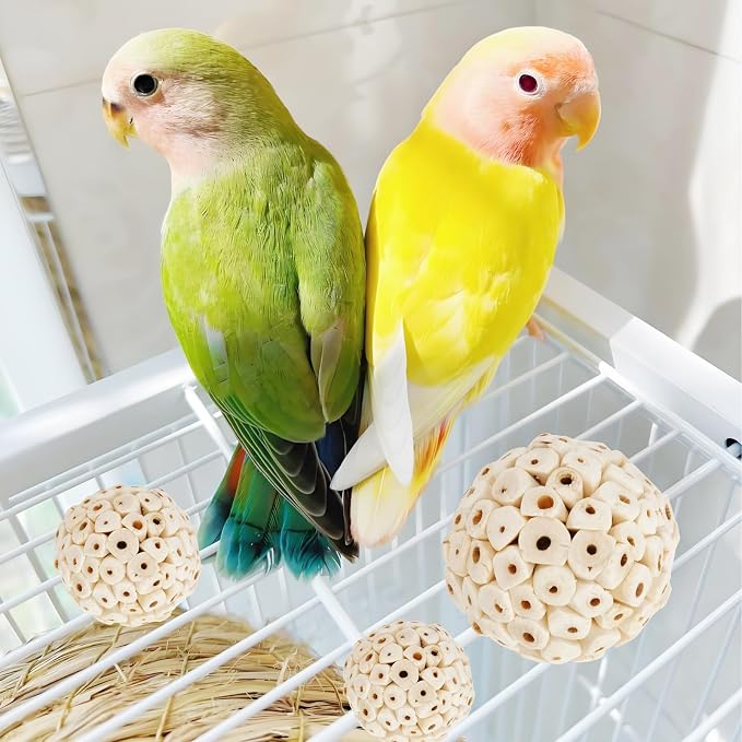 Bird Swing Toys, Parakeet Toys Natural Birds Toys Bird Cage Accessories - Image 3
