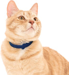 Break Away Collar for Cats - Image 5