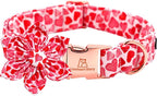 Lionheart glory Valentine's Day Dog Collar by LionheartGlory