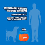 Chuckit! Big Air Fetch Ball Dog Toy Herding Instincts Dog Toy, - Image 4